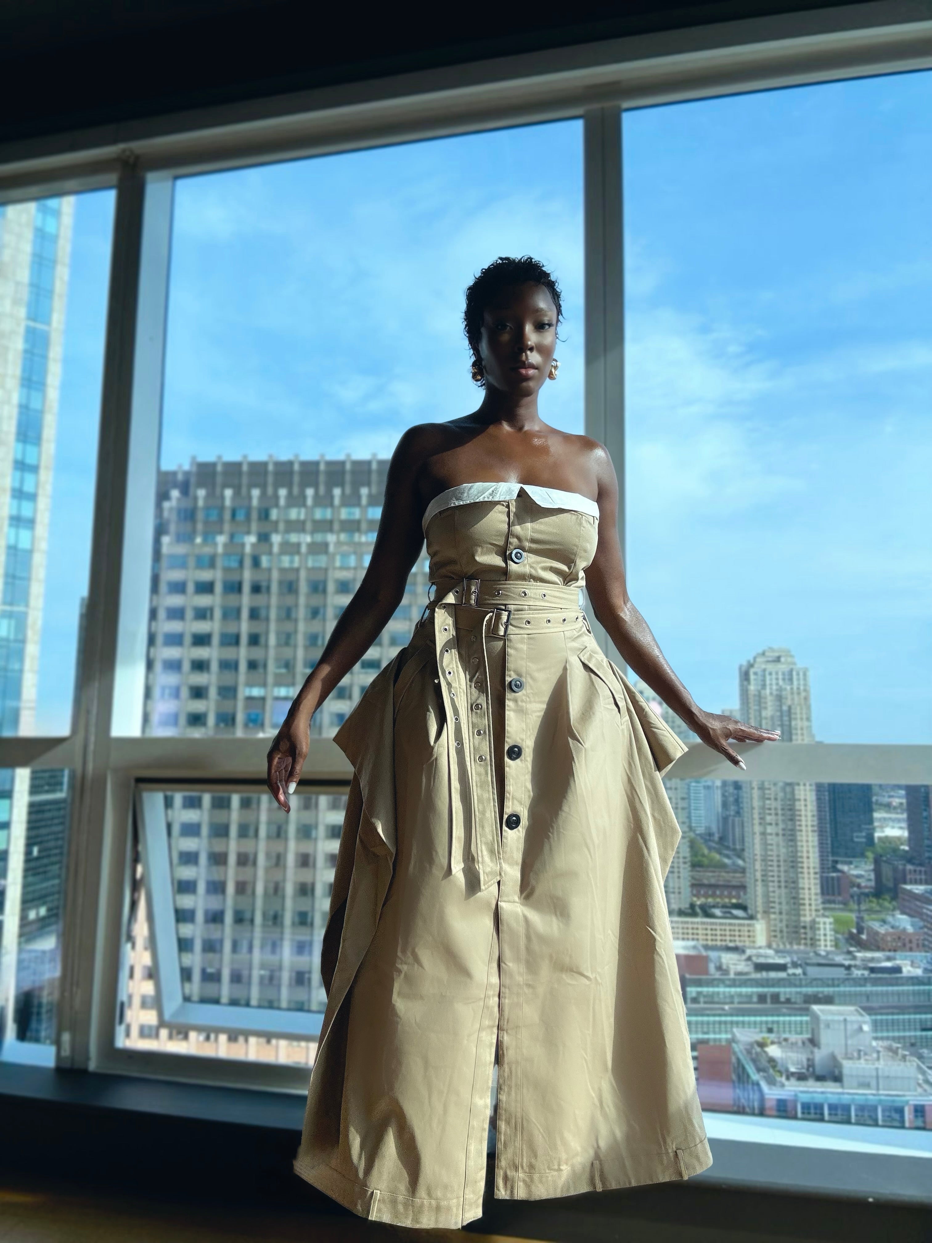 NY Trench Dress